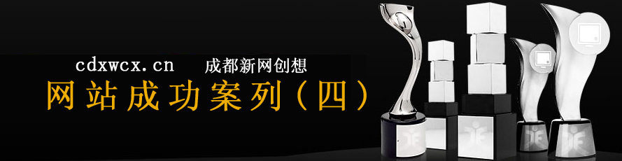 ��վ�ɹ�����